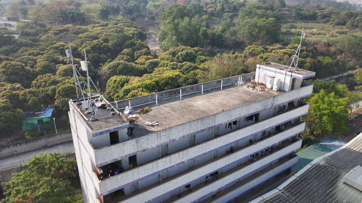 DT209外露防水涂层